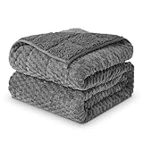 Weighted Blanket 15lbs for Adults, Queen Size Jacquard Sherpa Heavy Blanket for Calming and Relax, Dual Sided Ultra Soft Fuzzy Throw Blanket with Glass Beads, 60 x 80 inches, Dark Grey