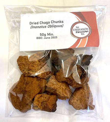 Authentic Wild Chaga Mushroom Medicinal Adaptogenic Dried Chunks (Inonotus Obliquus) 50g The Lincolnshire Mushroom Co.