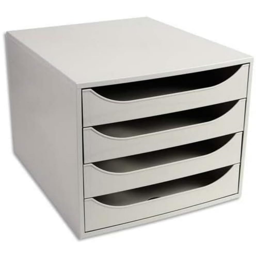 Exacompta 228606D Caja de almacenamiento Office con 4 cajones para documentos DIN A4+ Ecobox de alta capacidad para más espacio en el escritorio Big Box Gris