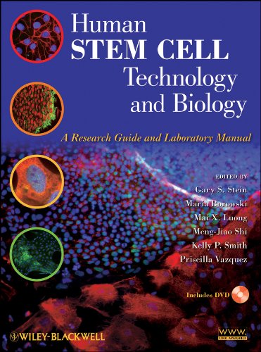 Buy Human Stem Cell Technology and Biology: A Research Guide and Laboratory Manual — BookShops.in