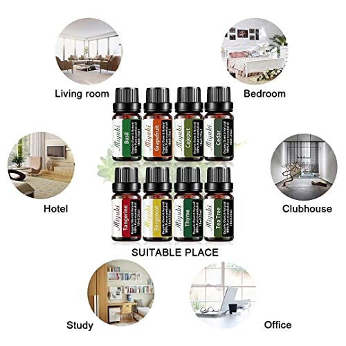 Miyuki 2Pack Basil Essential Oil And 8Pack Essential Oils With Grapefruit Basil Cajeput Cedarwood Tangerine Bergamot Thyme Tea Tree #TOP4