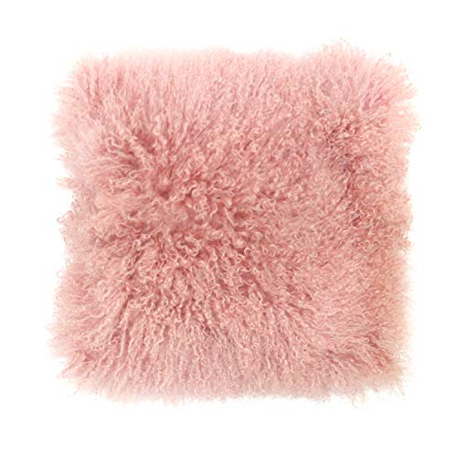 ���[�g�� �N�b�V���� �V�R ���� �R�[�����s���N 41×41cm �`�x�b�g�����N�b�V���� NC046CL