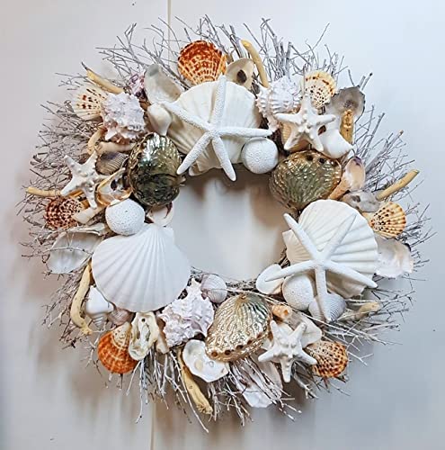 20" Seashell Wreath on Twig with Highly Polished Abalone Shells in 5 Designs