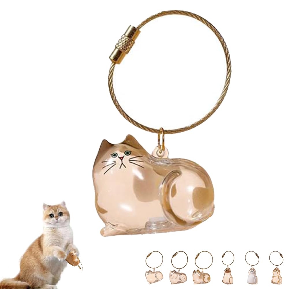 Amazon.co.jp: 猫毛メモリアルカプセルキーホルダー、猫毛保存