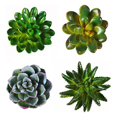 CoCoMe 3D Resin Succulent Magnets Cover