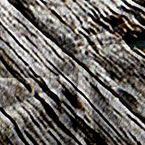 Couverture flanelle douce lit canapé motif forêt 3D haute qualité