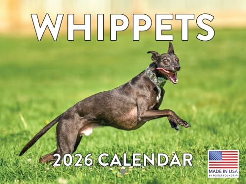 Whippet Calendar 2026 Wall 12 month Monthly Whippets Gifts For Whippet Lovers Women Men Mom Dad |