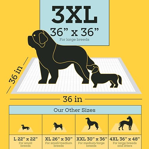 Image of Pet Life Unlimited Heavy Duty 3XL Puppy Pads for Dogs, Potty Training Pee Pads, 52 Count, 36 inch x 36 inch, Leak-Proof, Super Absorbent, Quick-Dry, Odor Control Clover Leaf Scent, Made in USA