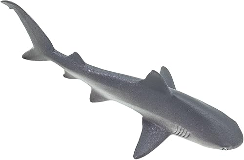 Miniatura 5 de Safari Ltd. Figura de tiburón de arrecife gris, figura detallada de modelo de plástico de 6.25 pulgadas, divertido juguete educativo de juego de