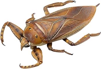 リボジオ　ギラファとタガメのセット　匿名配送 リボジオ ギラファとタガメのセット 匿名配送 Amazon | 海洋堂