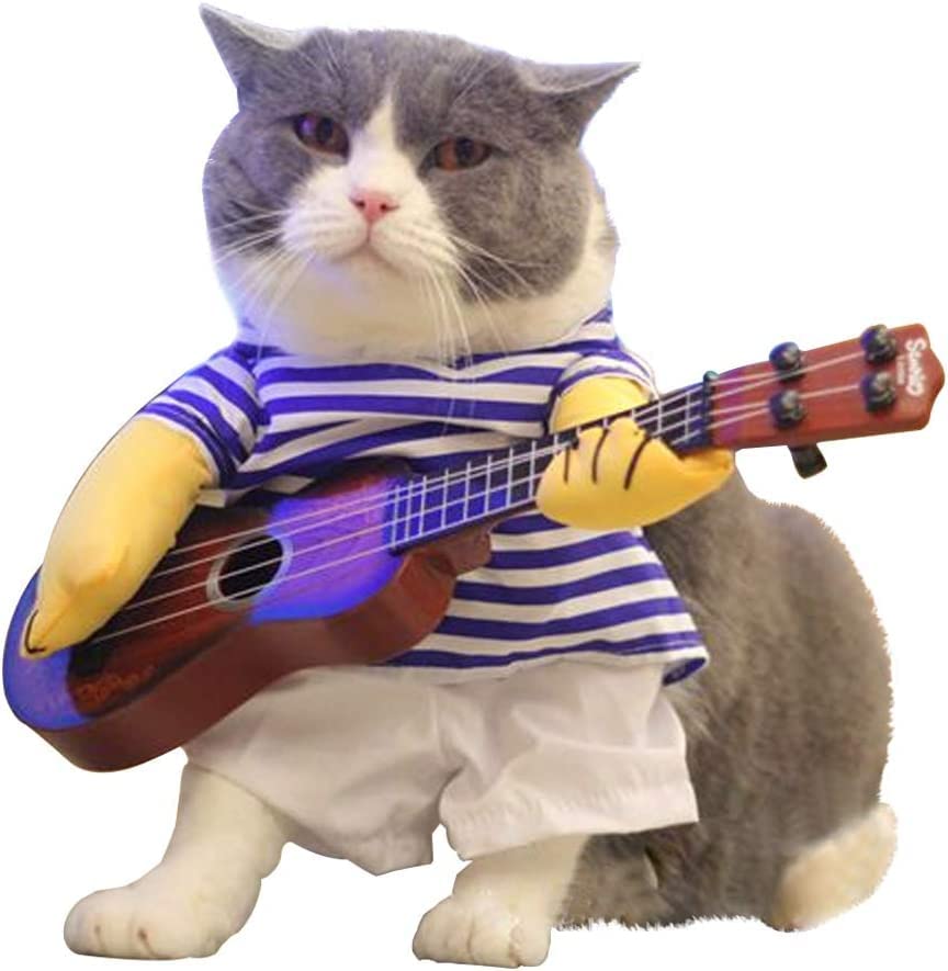 Rockstar Funny Animal Voice Over Videos Vlog Captivant Du Zoo De