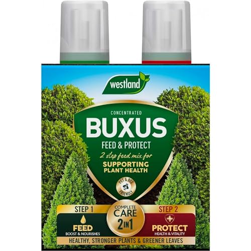 Westland Horticulture 20100418 Buxus Feed & Protect Concentrates 2 in 1 (2x500ML)