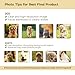 Goodoo Personalized Memorial Gifts for Loss of Dog, Rainbow Bridge Pet Memorial Stone, Custom Pet Stone with Photo & Name, Weatherproof Garden Grave Plaque, Grave Marker Sympathy Gift(Design 5)