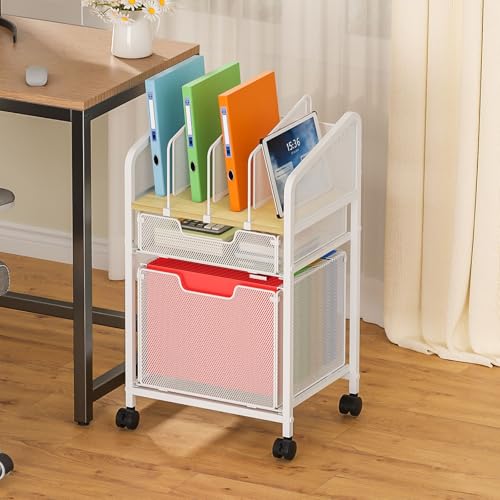 Rolling File Cabinet with Adjustable Dividers, Mobile Filing Cabinet with