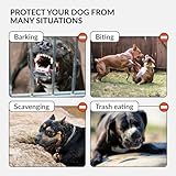 CollarDirect Pitbull Hundemaulkorb Leder Amstaff Maulkörbe Staffordshire Terrier Sicherer Korb (Schwarz)
