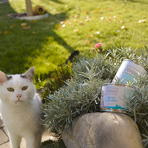 MjAMjAM zarte Ziege an leckeren Möhrchen 6x200 g, 1er Pack (1 x 1200 g) & Premium Nassfutter für Katzen - herzhaftes Wild & Kaninchen an fruchtigen Heidelbeeren, 6er Pack (6 x 200 g)