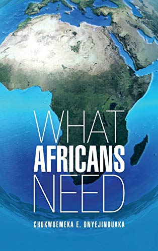 What Africans Need view 2