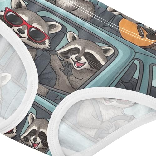 Cotton Toddlers Underwear Floral Playful Cartoon Raccoons Blue Little Girl Panties Fun Print Underpants Briefs 2t4