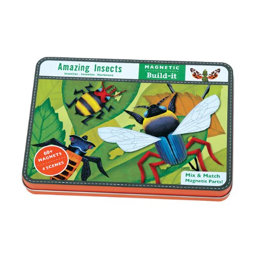 Amazing Insects Magnetic Build-it