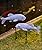 Acgarten Outdoor Koi Fish Statues 2Pack: Garden Sculpture Ornaments Pond Decor for Yard Lawn Patio Porch Outside Decorative Gifts for Grandma Women Mom