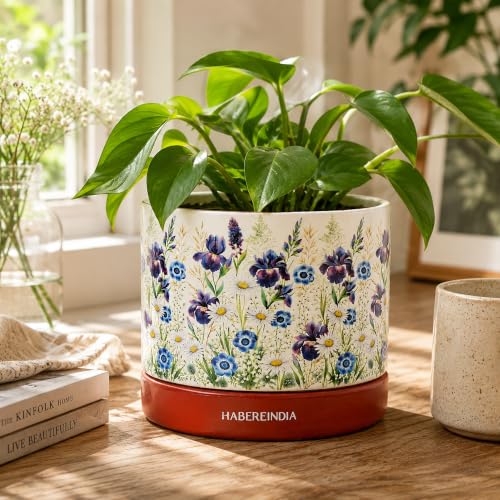 Image of Habere India-All the Cultures Fabricating India Floral Print Terracotta Planter with Under Plate | Indoor Plant Pot with Drainage | Decorative Planter for Home (Floral: L11 x W11 x H10 cm)