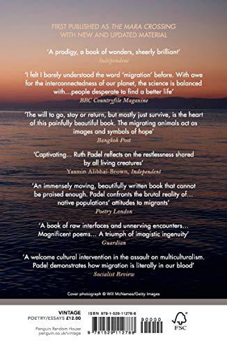 We Are All From Somewhere Else: Migration and Survival in Poetry and Prose - Image 2