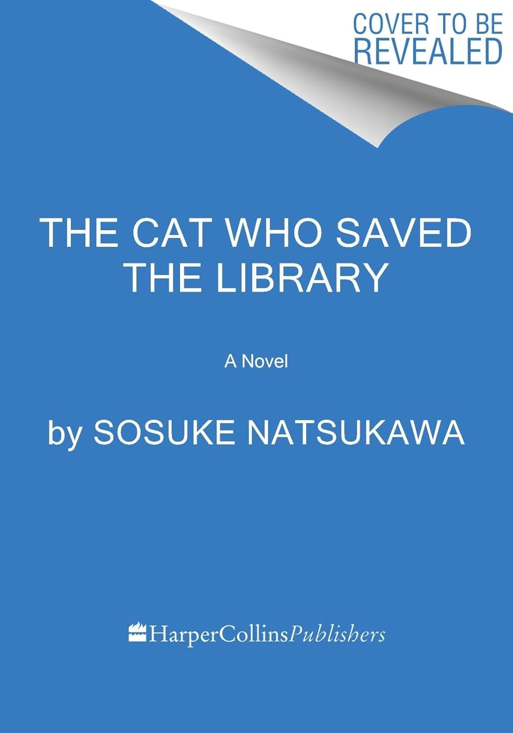 Amazon The Cat Who Saved The Library A Novel 9780063419247