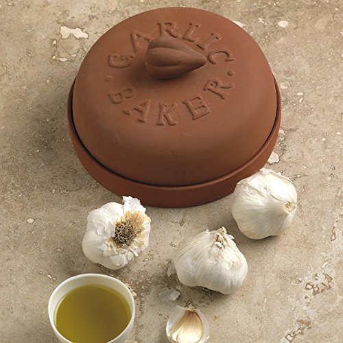 Fox Run Garlic Baker, 7-Inch, Terra Cotta,Red #TOP4