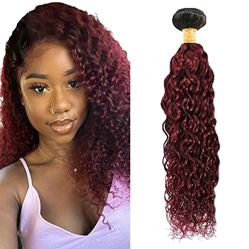 1b99j Bundles Brazilian Ombre Bundles 2 Tone Ombre Burgundy Brazilian Human Hair Kinky Curly 1b99j Black And Red Wine 22 Inch Brazilian Virgin Hair Bundles 100% Unprocessed Virgin Hair Bundles