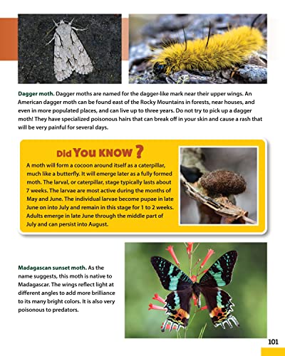 World of Pollinators: A Guide for Explorers of All Ages: Fun Projects, Over 600 Amazing Facts About Plants, Bees, Beetles, Birds, and Butterflies (Creative Homeowner) Outdoor Activities for Kids 8-12 - Image 8