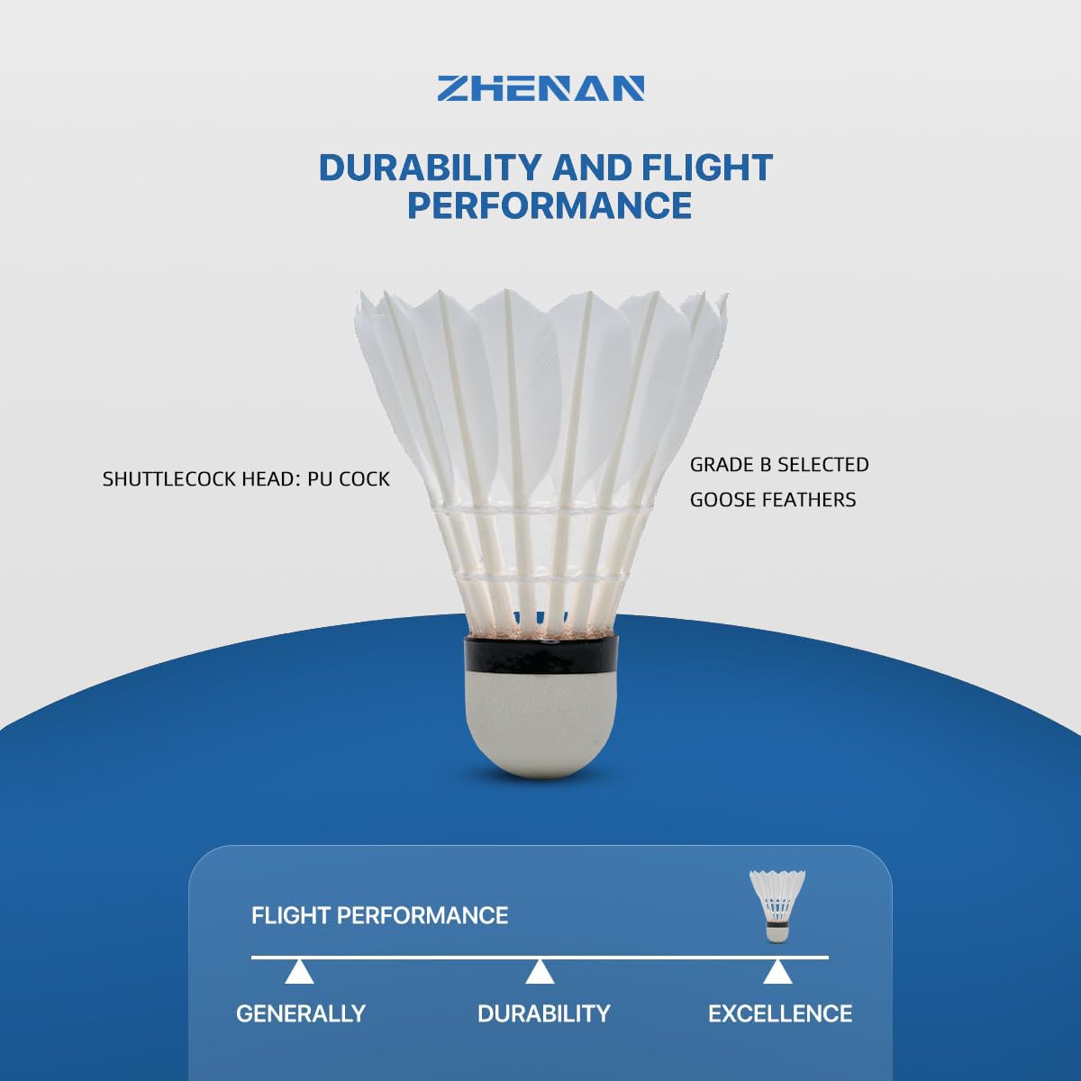 Amazon.com : ZHENAN Goose Feather Badminton Shuttlecocks,12 Pack