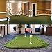 Petgrow Pro Putting Green Golf Artificial Grass Turf 3FTX10FT - Indoor Outdoor Golf Training Mat, Synthetic Fake Grass for Baseball Football Gym Sports