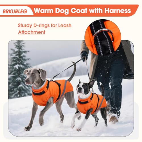 Image of BRKURLEG Dog Winter Jackets for Large Dogs, Dog Coat with Harness Built in, Dogs Snowsuits with Zipper, Waterproof Windproof Pet Puffer Jacket Fleece Vest for Labrador, Dalmatian, Orange XXL