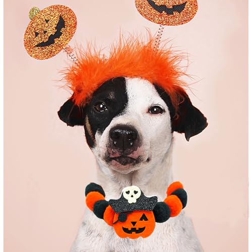 Collar Halloween para perro con pompones ajustable naranja miniatura 4