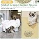 Glaublieb 30g Katzenminze Getrocknet, Natürliche Catnip Katzengras, Auffüllen Von Katzenspielzeug Katzen Kissen Catnip Ball, Einstellbare Dosierung und leicht zu verstauen