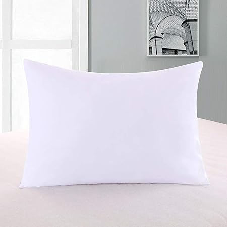 Amazon.com: Featherproof Pillow Protector: Home & Kitchen