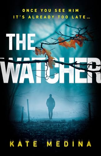 The Watcher view 2