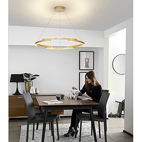Éclairage de table à manger suspendu à LED : lustre au design moderne