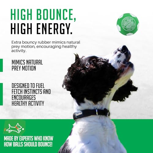 Balles de jeu pour chien idéales pour le parc et l'eau - 5