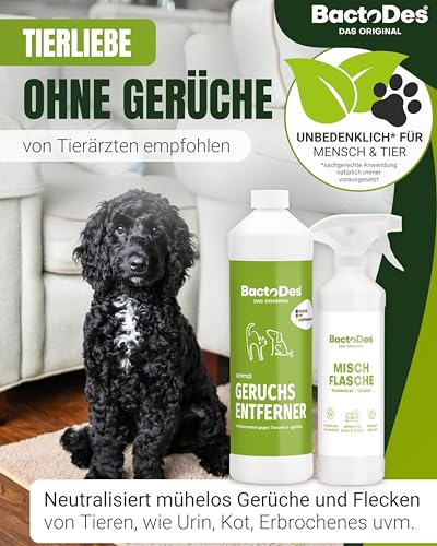 BactoDes Animal Geruchsneutralisierer 2L I Enzymreiniger mit biologischer Mikrobenkraft & Tiefenwirkung inkl. Spray-Mischflasche I Effektiver Geruchsentferner gegen Tierurin & starke Gerüche