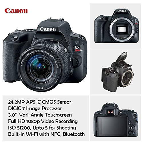 Cámara Canon EOS Rebel SL2 DSLR 24.2MP con lentes y accesorios miniatura 2