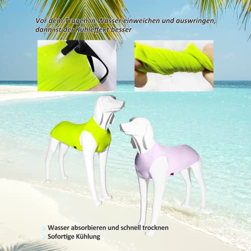 Kickred 2 Pack Hund Kühlung Shirts, EIS Haustier Weste Hund Kleidung für Instant Kühlung, ultraleichte atmungsaktive ärmellose T-Shirts für mittlere Hunde Junge Mädchen (Violett+Grün, XL)