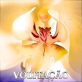 volitation helicopter manual pdf  Volitation