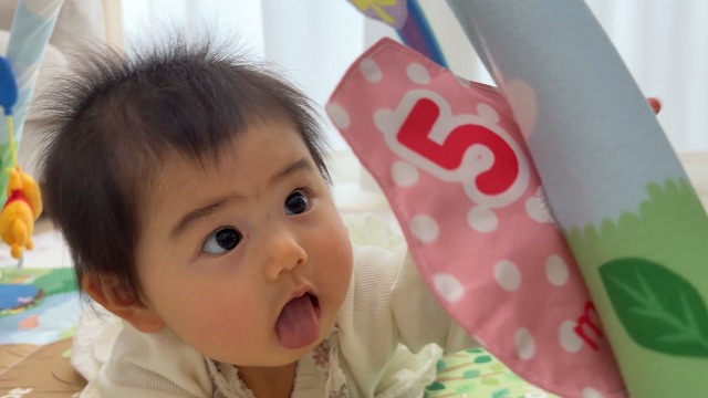 Amazon.co.jp: ディズニー てあそびいっぱい! おうちにへんしんジム 0