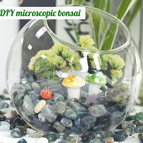 Image of 1lb Aquatic Agate Aquarium Gravel Rocks Natural Tumbled Healing Crystal Chips Bulk Gemstones Crushed Stones for Fountain Vase Filler Planters Decorative Fish Tank Potted Reiki Energy Balancing