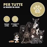 Zoom IMG-2 peticare vermifugo in polvere per Zoom IMG-2 peticare vermifugo in polvere per