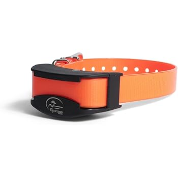 petsafe sportdog sporttrainer