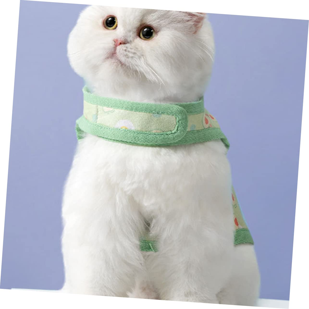 VANZACK 2sätze Katzen Geschirr Mit Leine Verstellbares Und Atmungsaktives Mesh-Harness Im Avocado-Design Für Outdoor-aktivitäten Geeignet Für Katzen