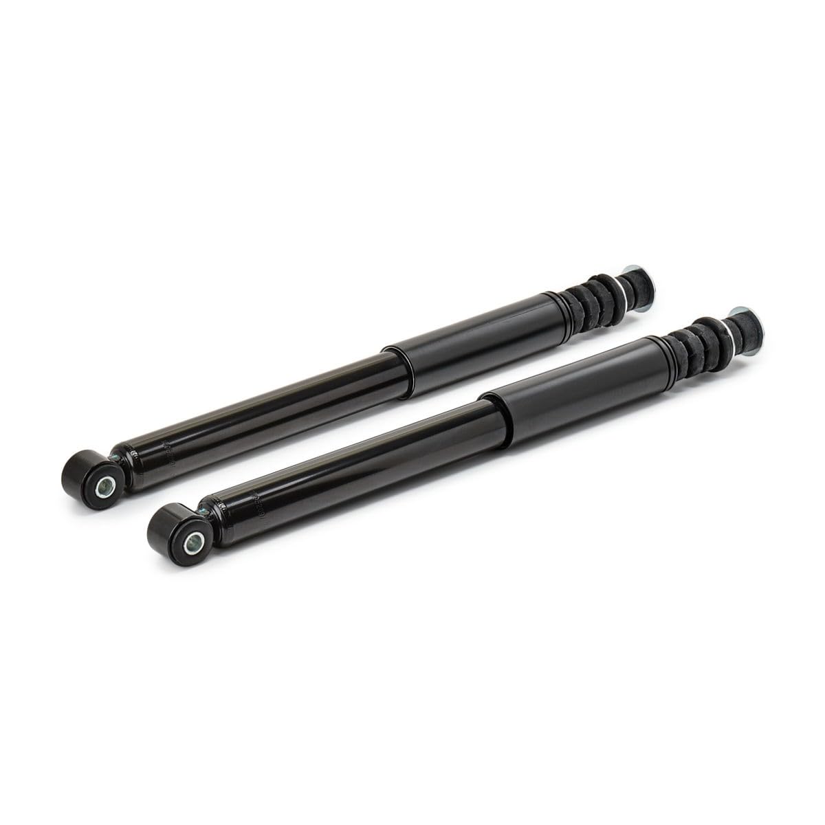 RIDEX 854S0945 2x Ammortizzatore Posteriore Compatibilità con RENAULT Clio III Hatchback BR0/1, CR0/1
