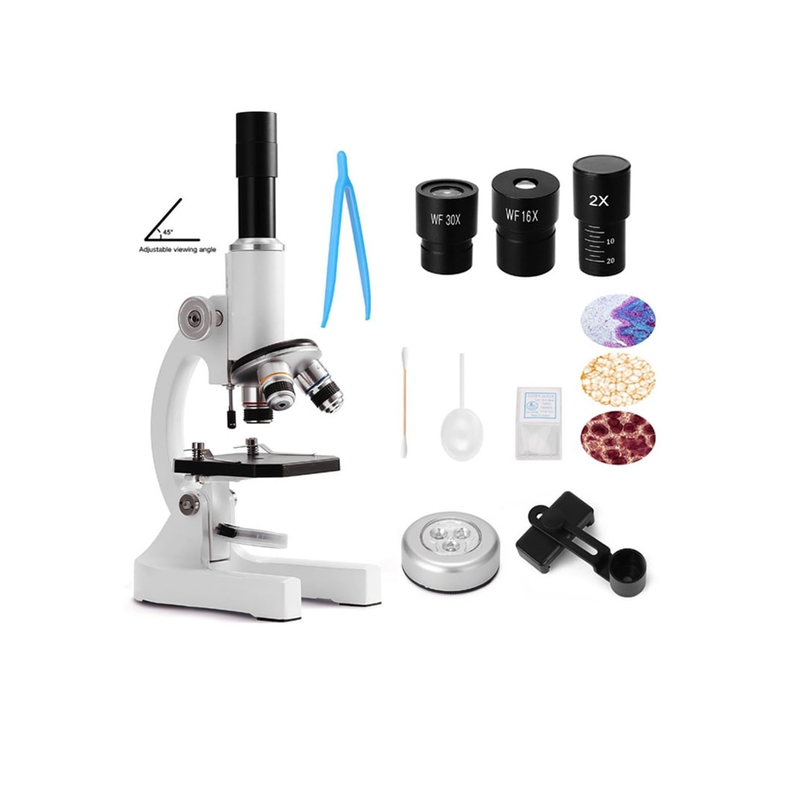 Mikroskop, 64X-2400X Monokulares Optisches Mikroskop Grundschulkinder Wissenschaft Experimentelles Biologieunterricht
